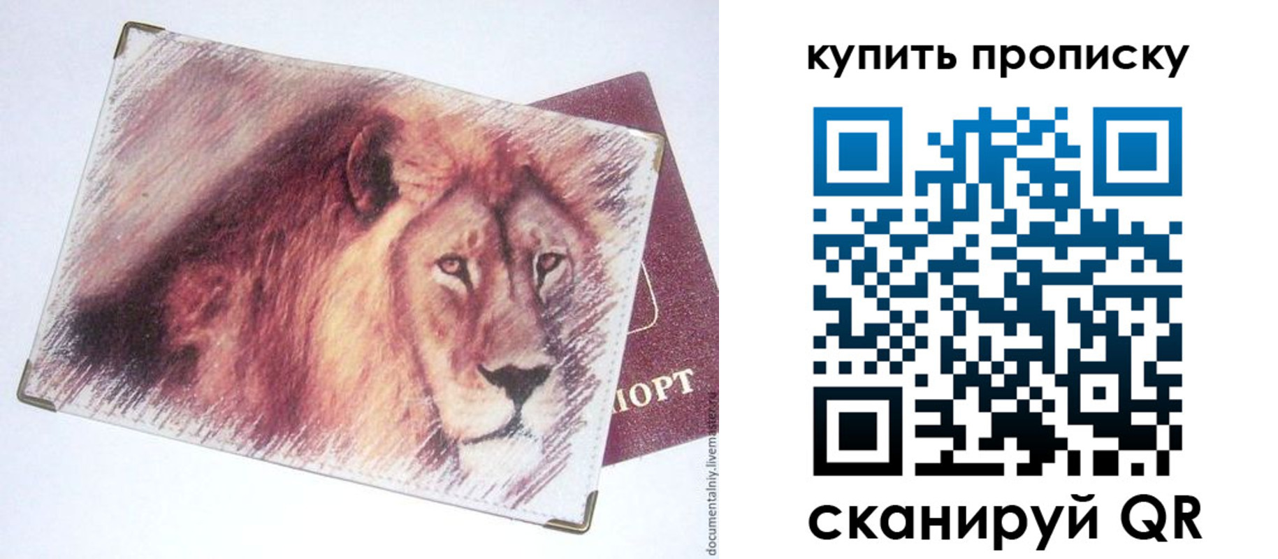 прописка паспорт в Боброве